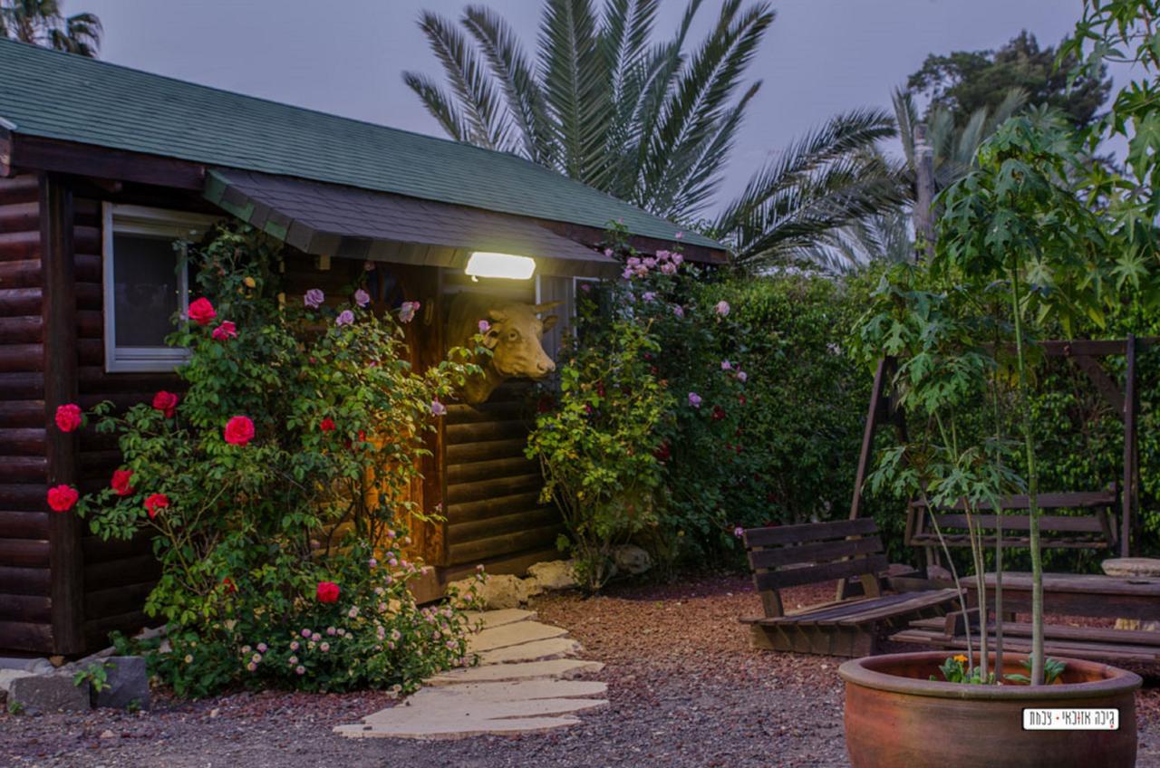 Moon Light Yavne'El Villa Exterior photo
